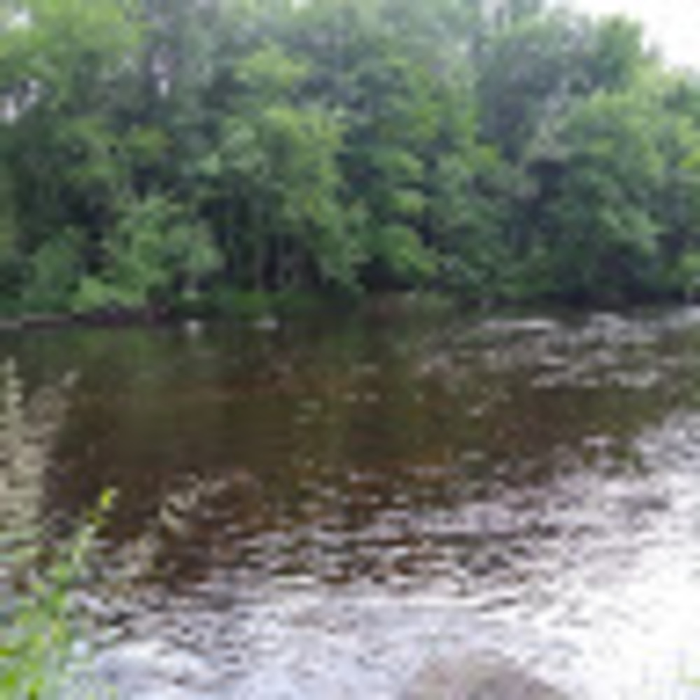 Meet your Posher, Morgan